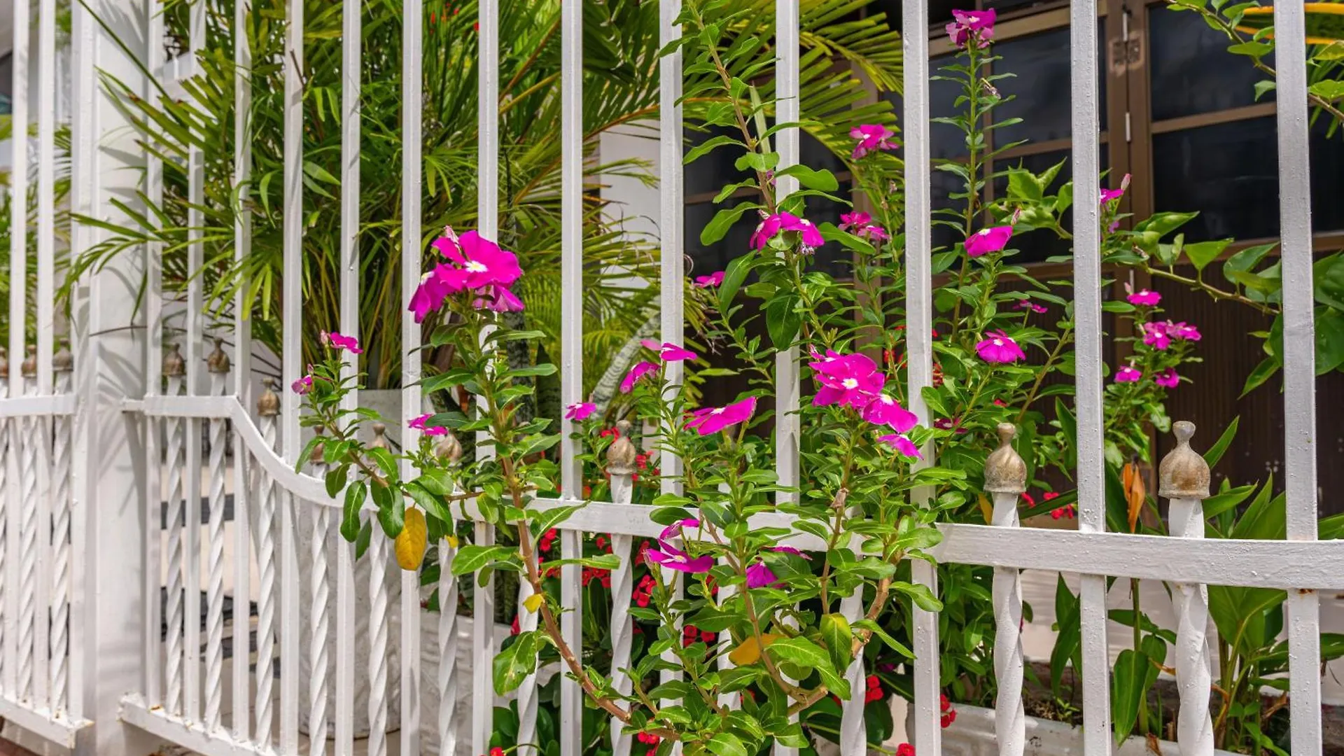 Oresca Hostel Cartagena Pensión