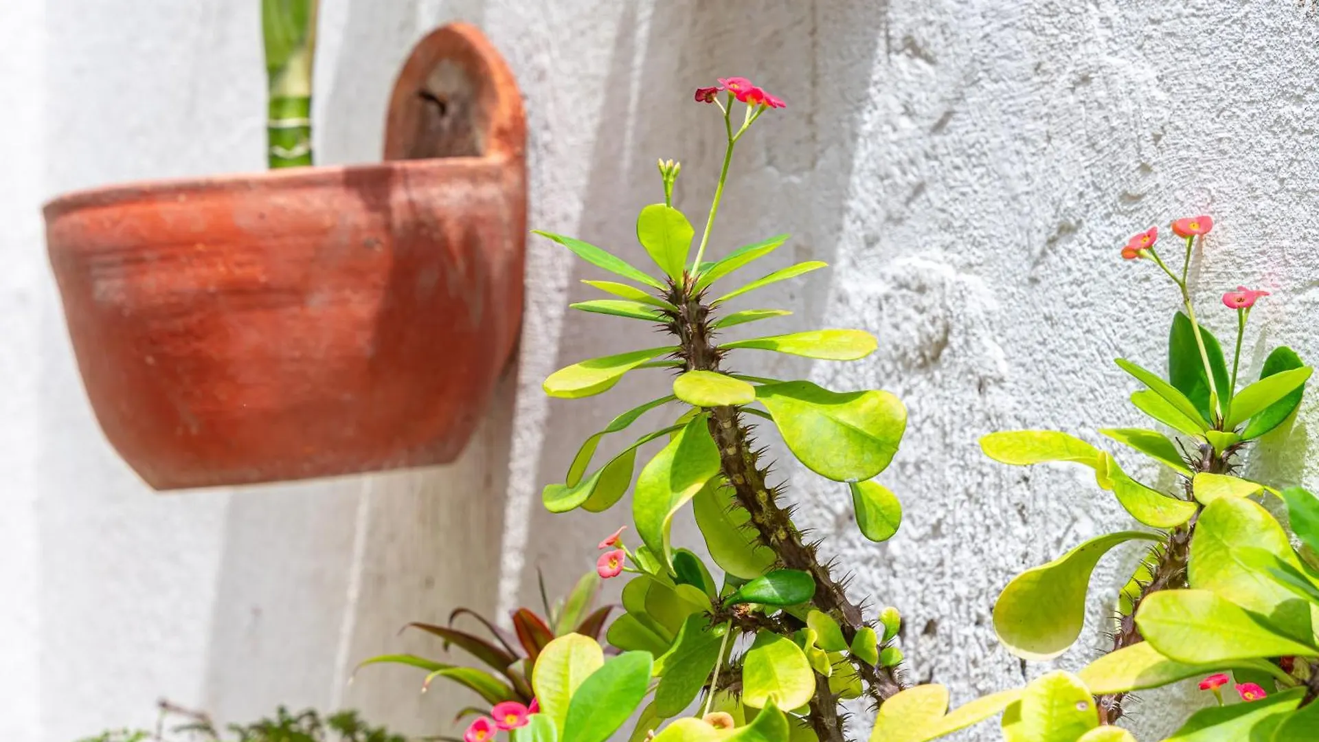 Oresca Hostel Cartagena Colombia