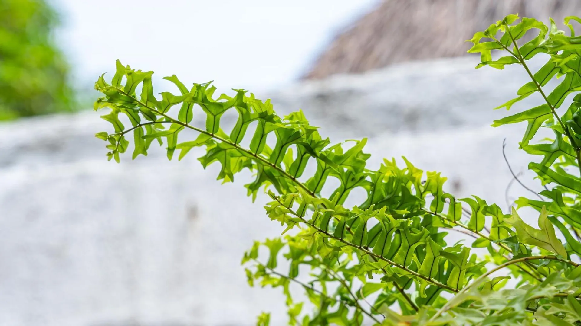 Oresca Hostel Cartagena Guest house