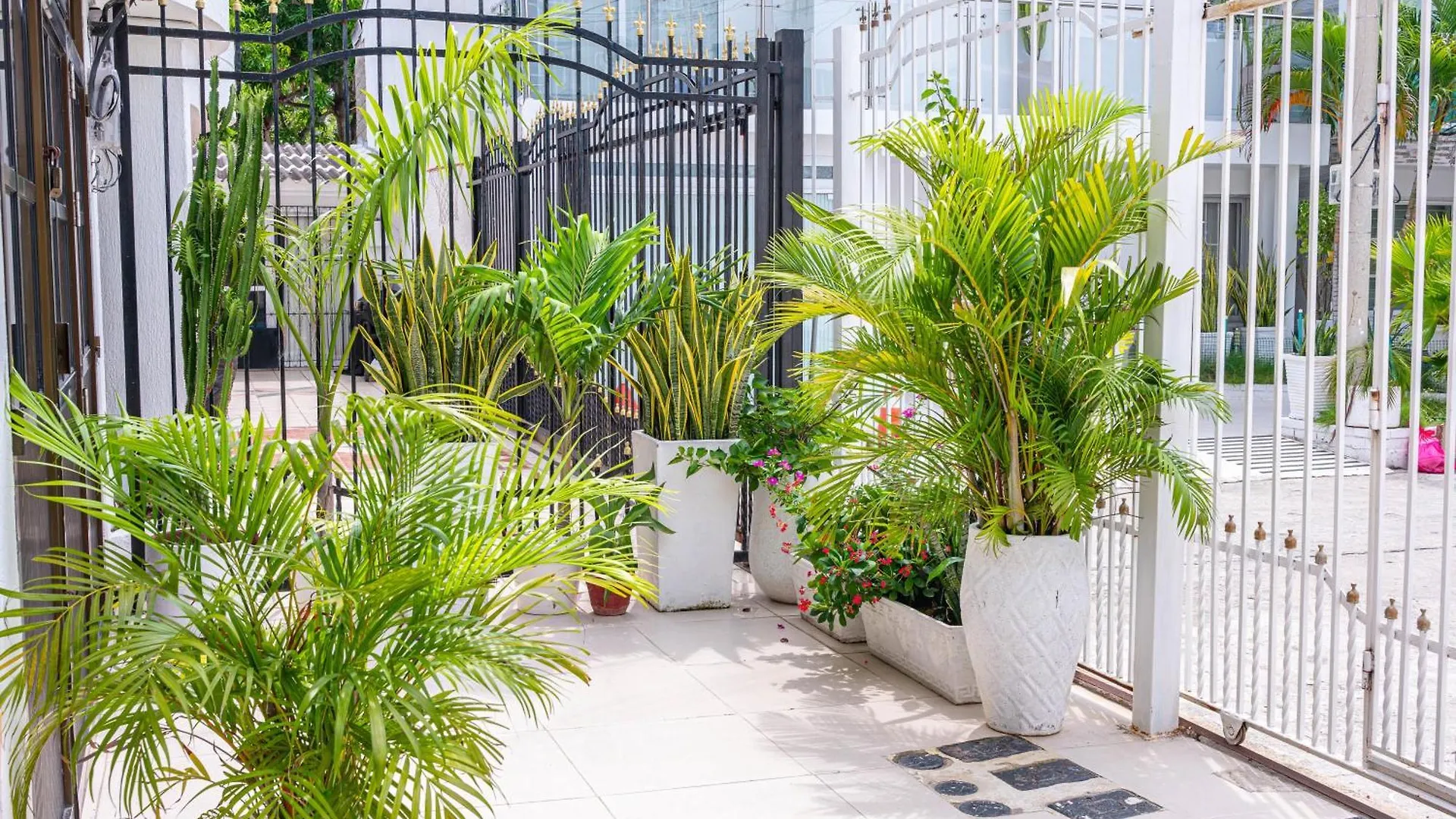 Oresca Hostel Cartagena Guest house