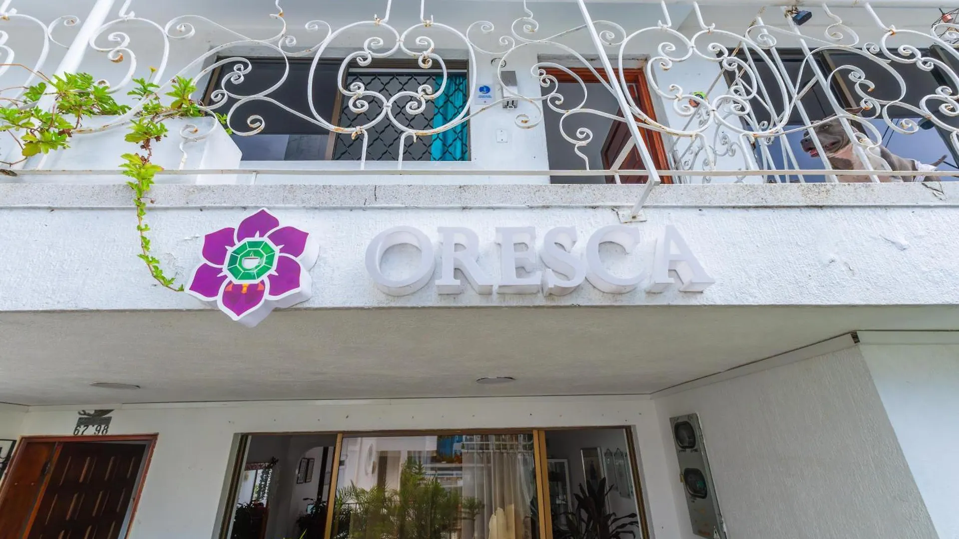 Oresca Hostel Cartagena Casa de hóspedes